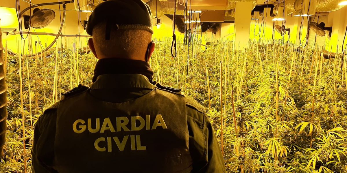 la-guardia-civil-desarticula-siete-centros-de-produccion-de-marihuana