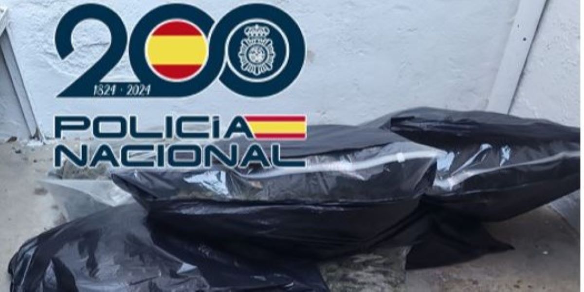 la-policia-nacional-desmantela-una-plantacion-indoor-incautandose-de-mas-de-245-kilos-de-marihuana-y-144-gramos-de-picadura