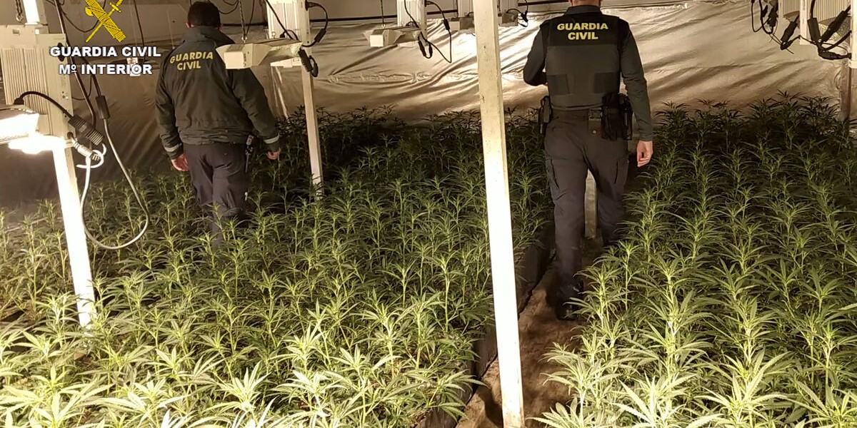 la-guardia-civil-desarticula-nueve-centros-de-produccion-de-marihuana-en-chauchina-y-romilla