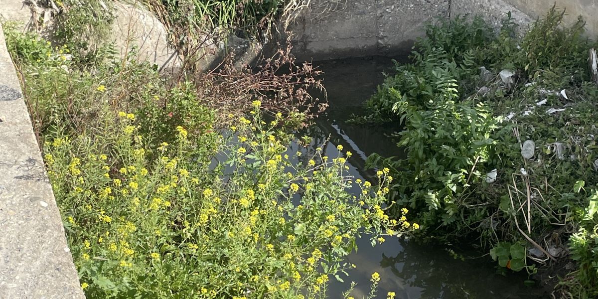 motril-iu-verdes-equo-denuncian-vertidos-y-suciedad-en-el-cauce-de-la-rambla-de-las-brujas