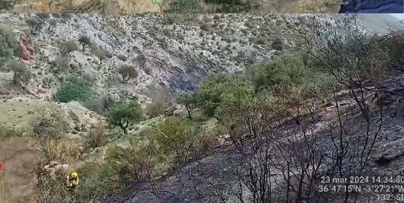 velez-de-benaudalla-extinguido-el-incendio-que-se-origino-en-la-pedania-de-lagos