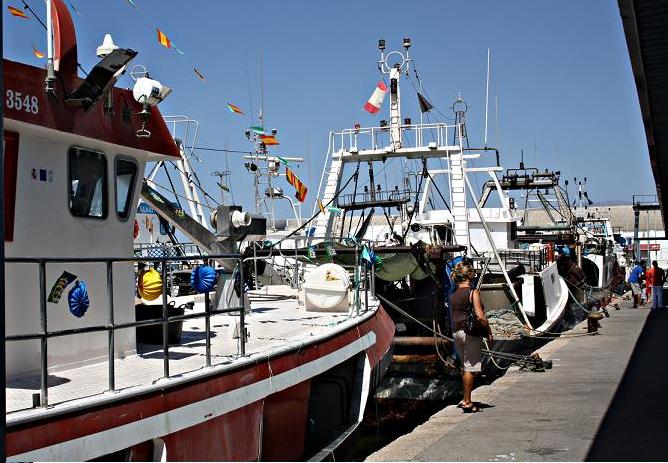 medidas-dirigidas-al-sector-pesquero-y-acuicola-andaluz-para-fomentar-el-relevo-generacional