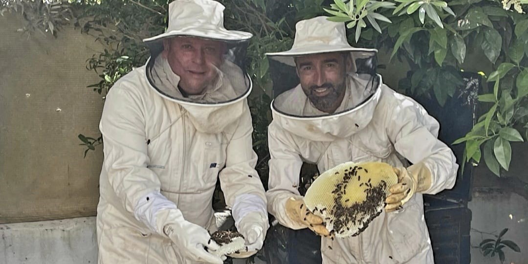 cullar-vega-ofrecera-un-servicio-de-rescate-de-enjambres-de-abejas-que-aparezcan-en-parques-o-viviendas