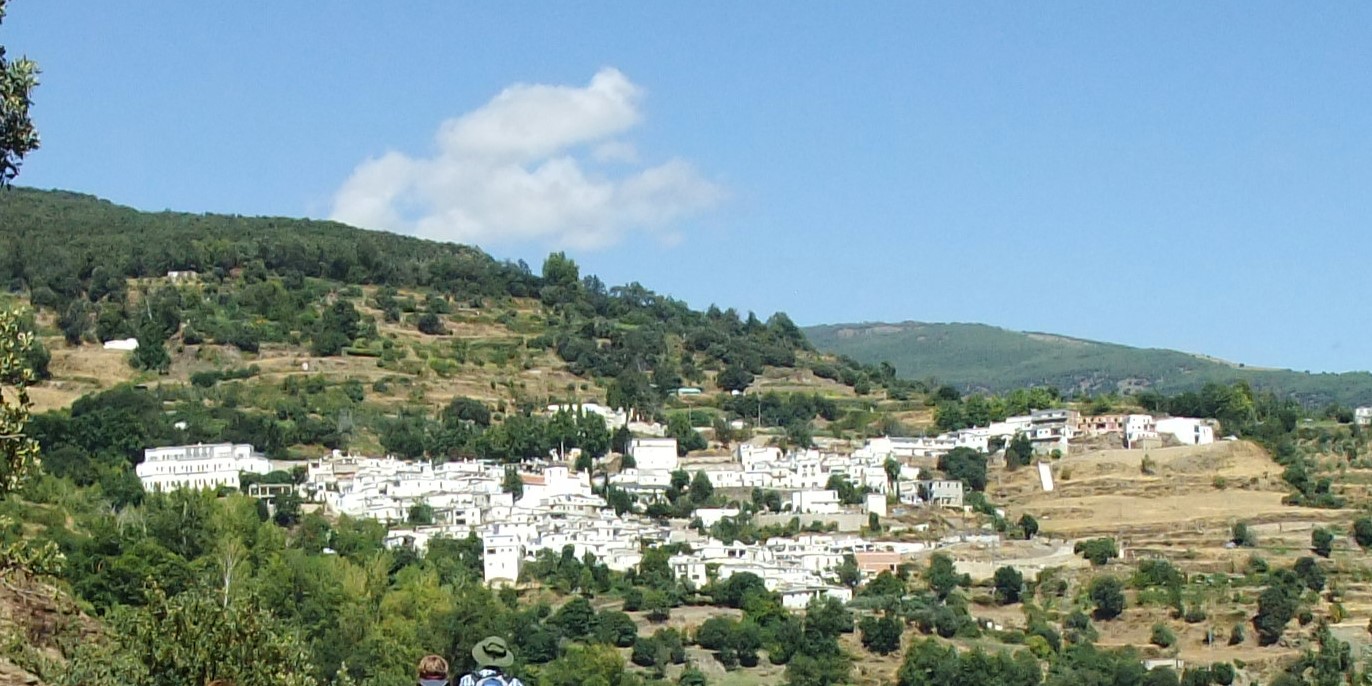 el-festival-de-jazz-y-blues-de-la-alpujarra-alcanza-su-17a-edicion-como-un-referente-en-andalucia