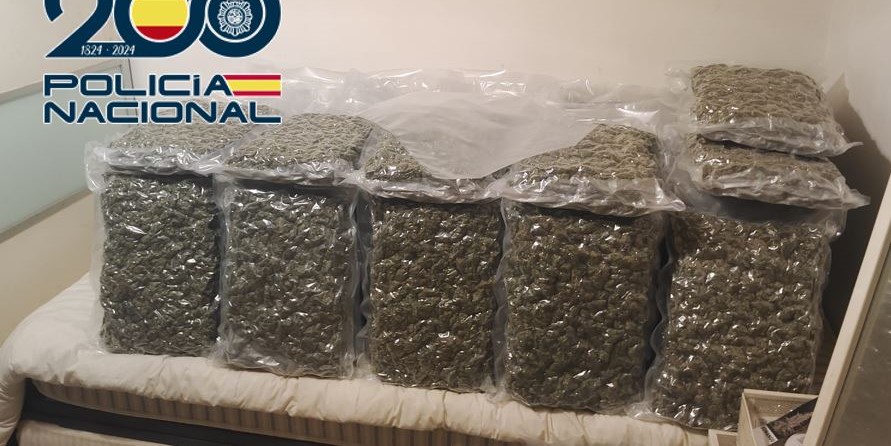 la-policia-nacional-interviene-mas-de-500-kilos-de-marihuana-y-cerca-de-700-000-euros-a-una-organizacion-criminal-dedicada-al-trafico-internacional-de-marihuana