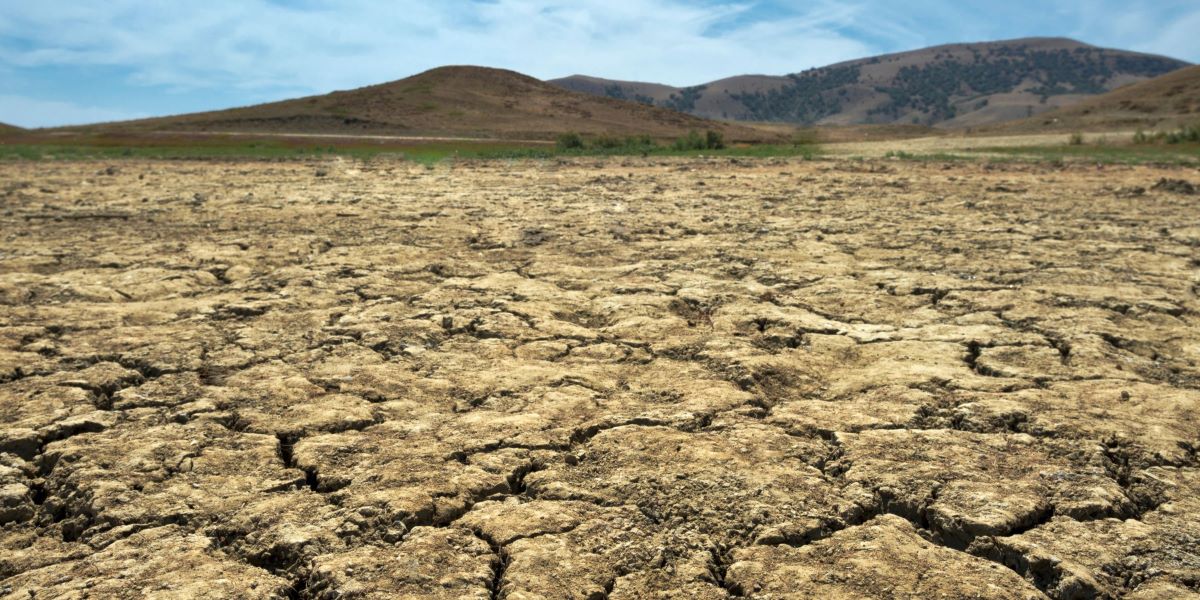 asaja-coag-y-cooperativas-agro-alimentarias-piden-al-ministerio-de-agricultura-la-convocatoria-urgente-de-la-mesa-de-la-sequia