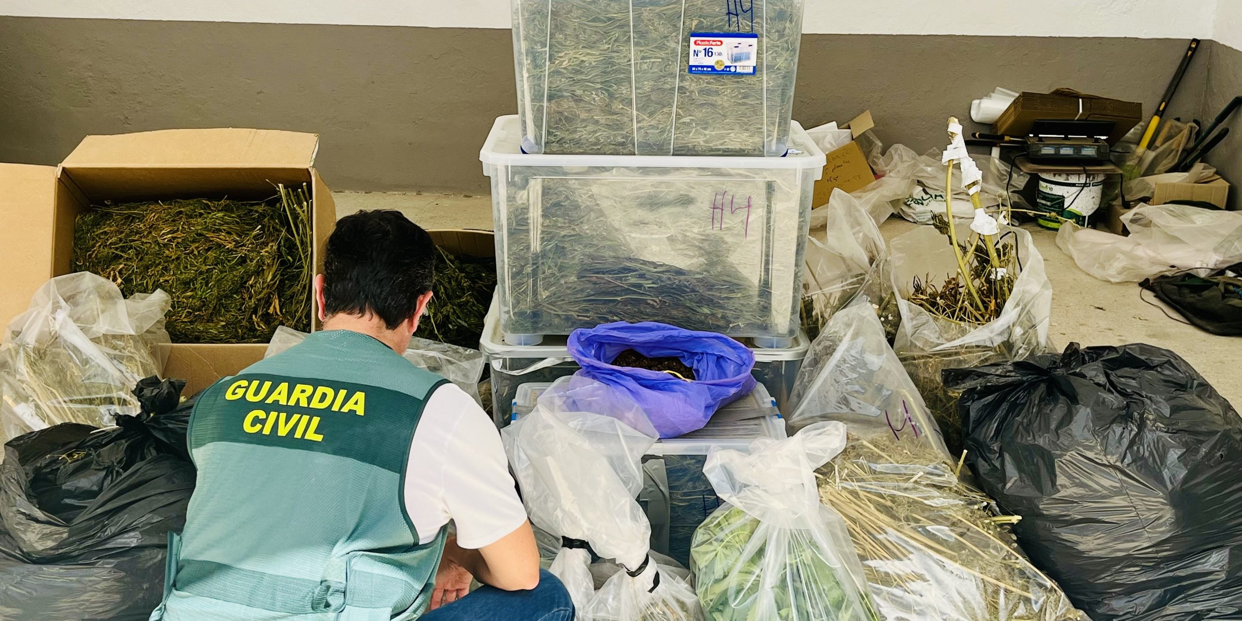 la-guardia-civil-detiene-a-dos-personas-por-un-delito-de-cultivo-y-elaboracion-de-droga