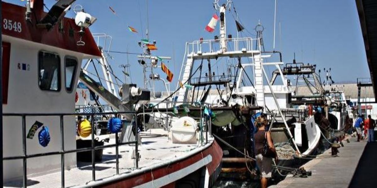 motril-la-ce-aprueba-el-plan-de-gestion-para-la-pesca-artesanal-de-la-draga-en-el-litoral-mediterraneo