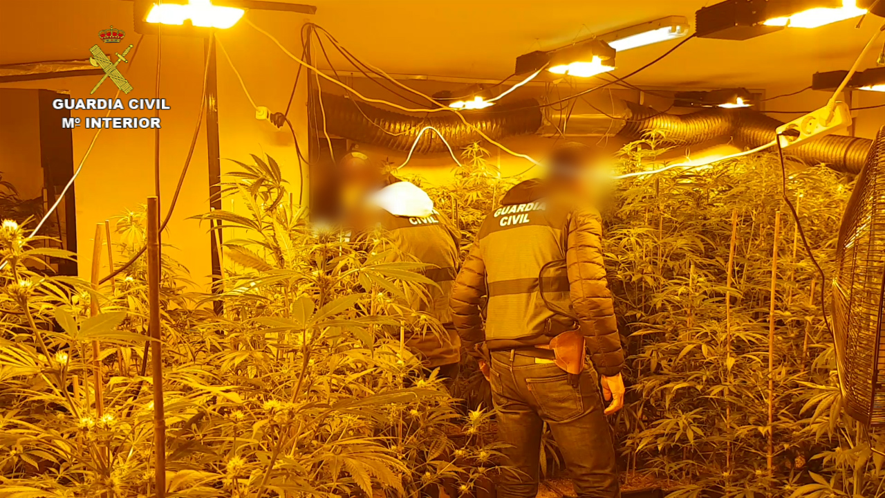 la-guardia-civil-desarticula-dos-nuevos-centros-de-produccion-de-marihuana