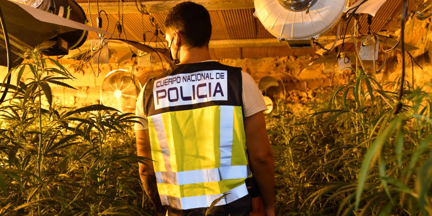 maracena-la-policia-nacional-y-la-guardia-civil-desarticulan-un-centro-de-produccion-de-marihuana-en-un-gimnasio