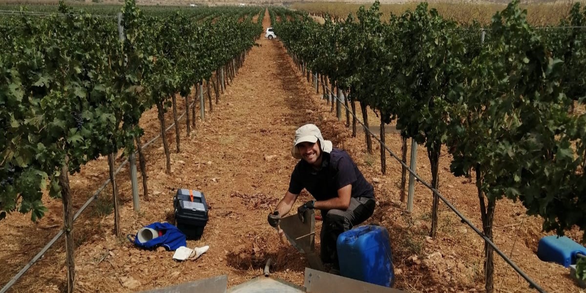 investigadores-trabajan-con-ia-y-experimentacion-en-campo-para-crear-una-herramienta-que-gestione-el-suelo-en-el-vinedo