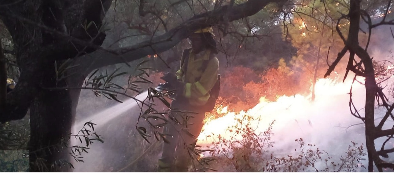 incendio-de-almunecar-cortada-la-carretera-del-pago-del-rescate-y-el-cerval-se-evacua-una-mujer-al-hospital-de-motril