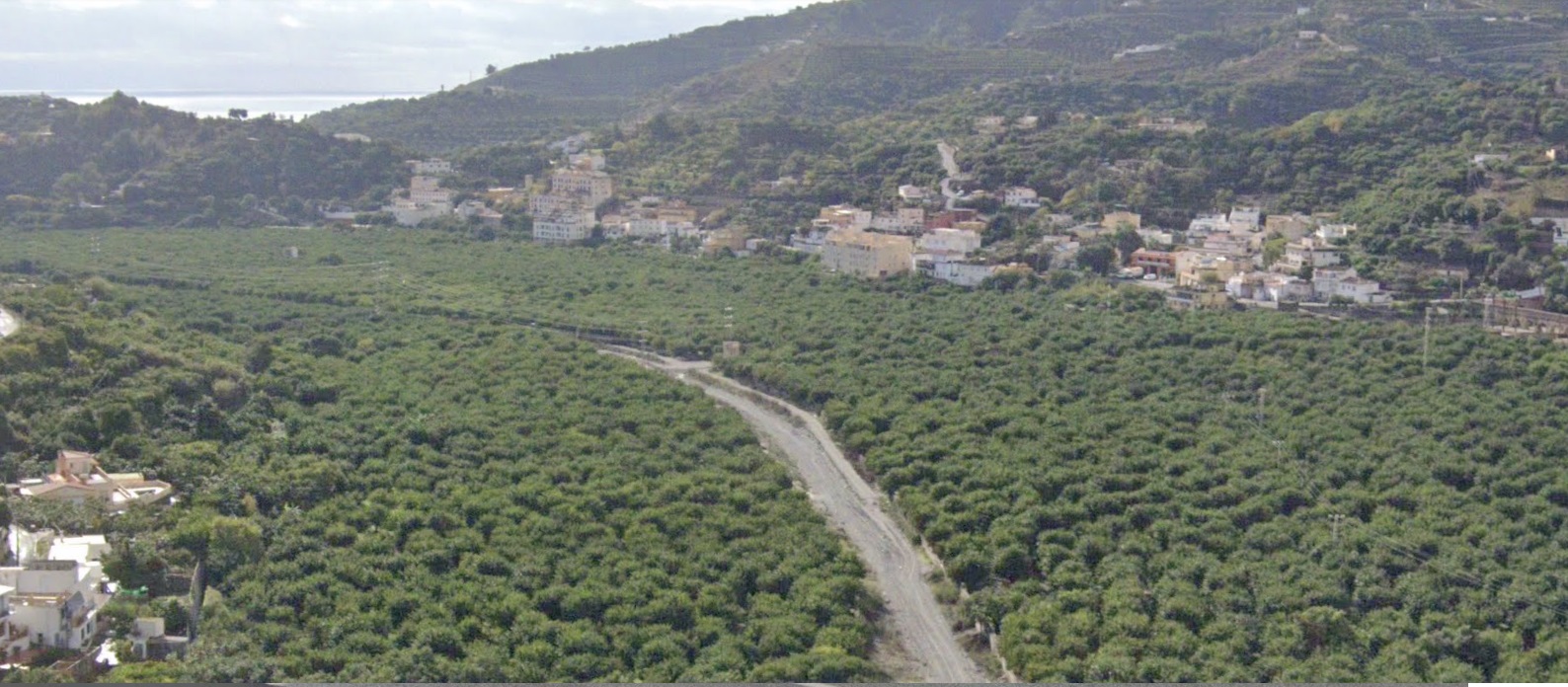 tras-un-2023-desastroso-el-sector-de-las-frutas-tropicales-encara-la-actual-campana-ahogado-de-nuevo-por-la-sequia