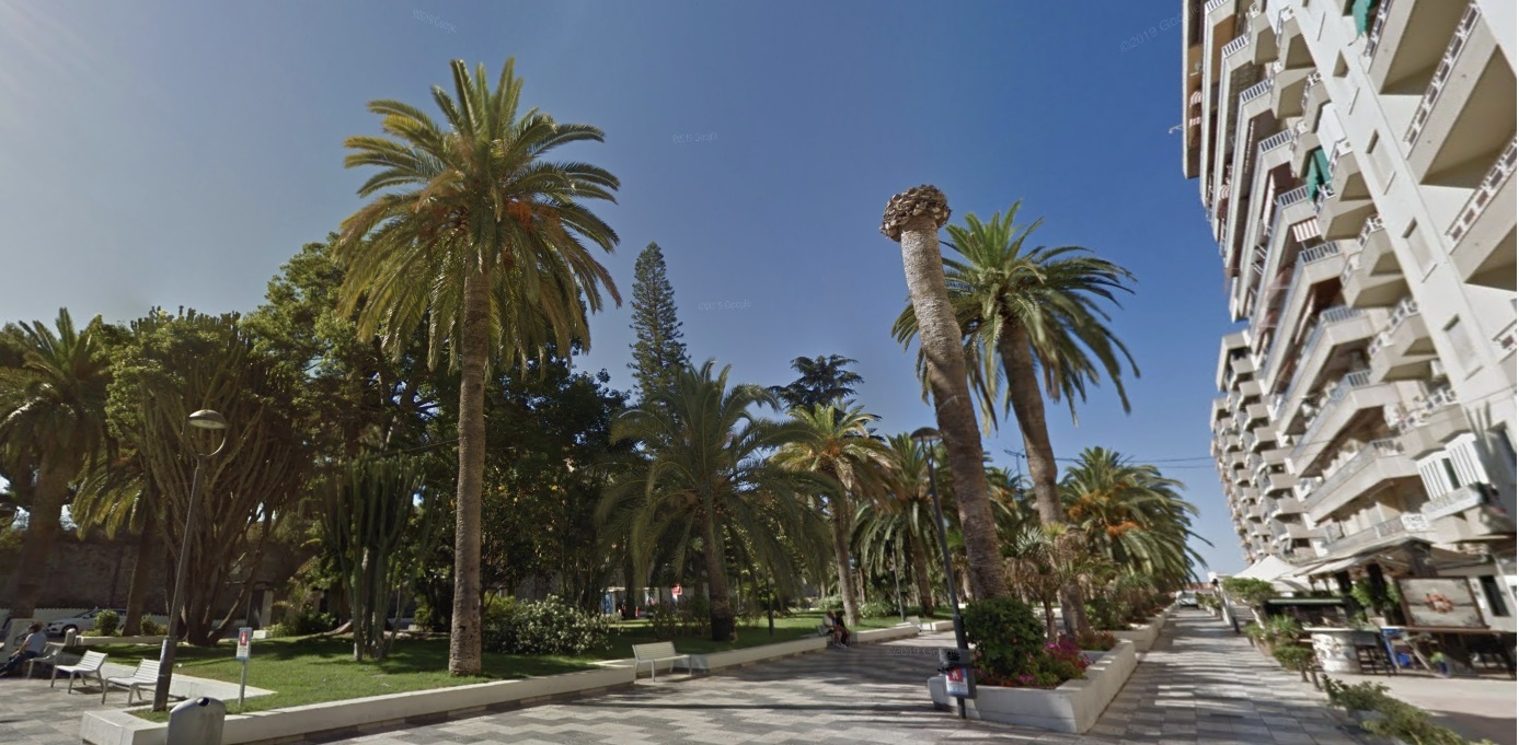 motril-la-policia-local-detiene-a-2-personas-por-robo-de-un-bolso-y-un-movil