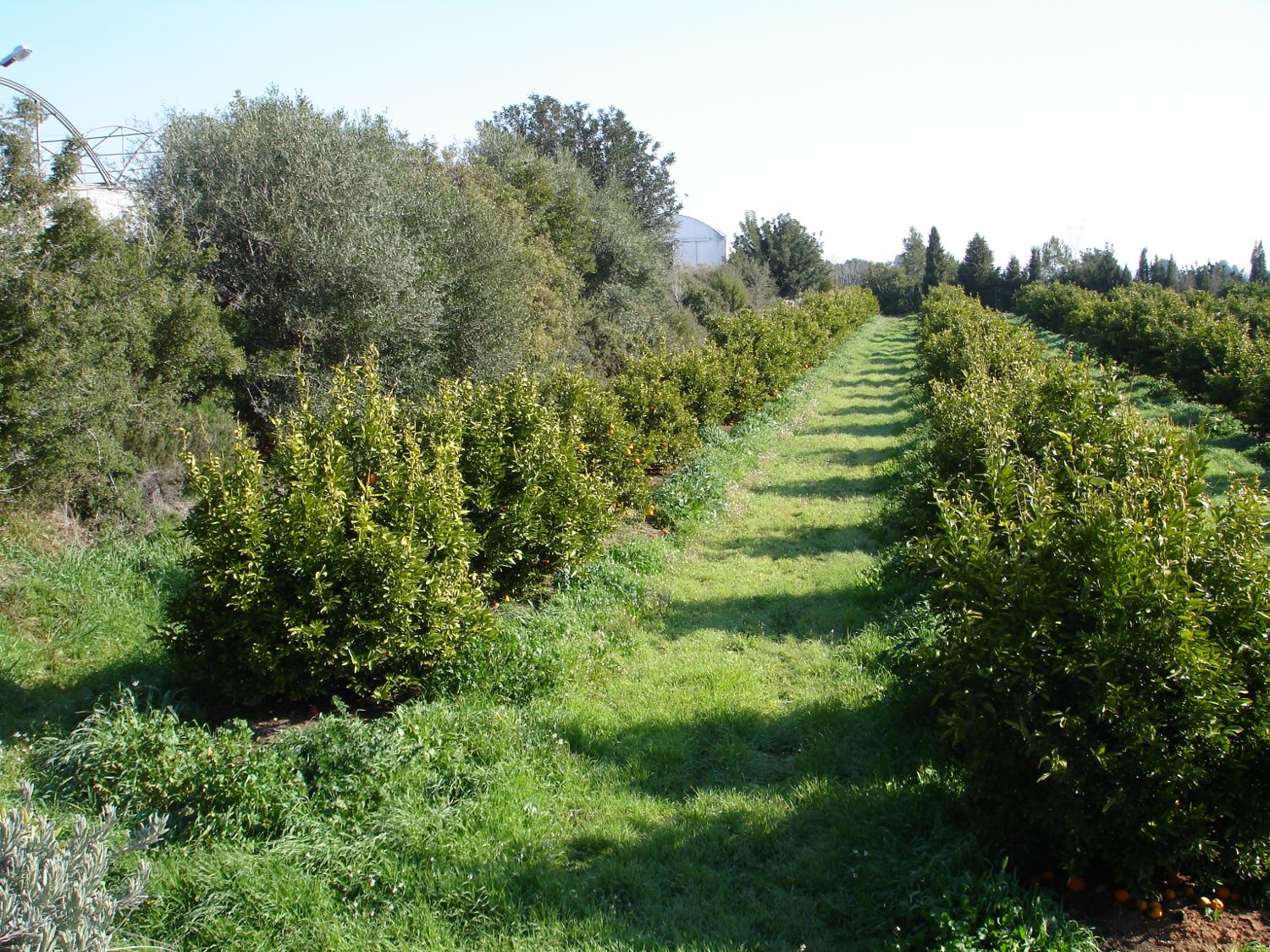 la-superficie-ecologica-en-granada-supera-las-207-000-hectareas