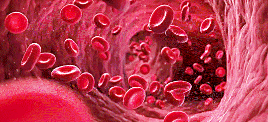 descubren-un-nuevo-grupo-sanguineo-llamado-mal