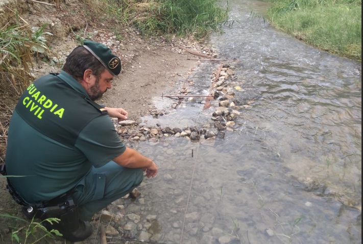 la-guardia-civil-investiga-a-un-individuo-por-capturar-aves-fringilidas-protegidas-junto-al-rio-genil