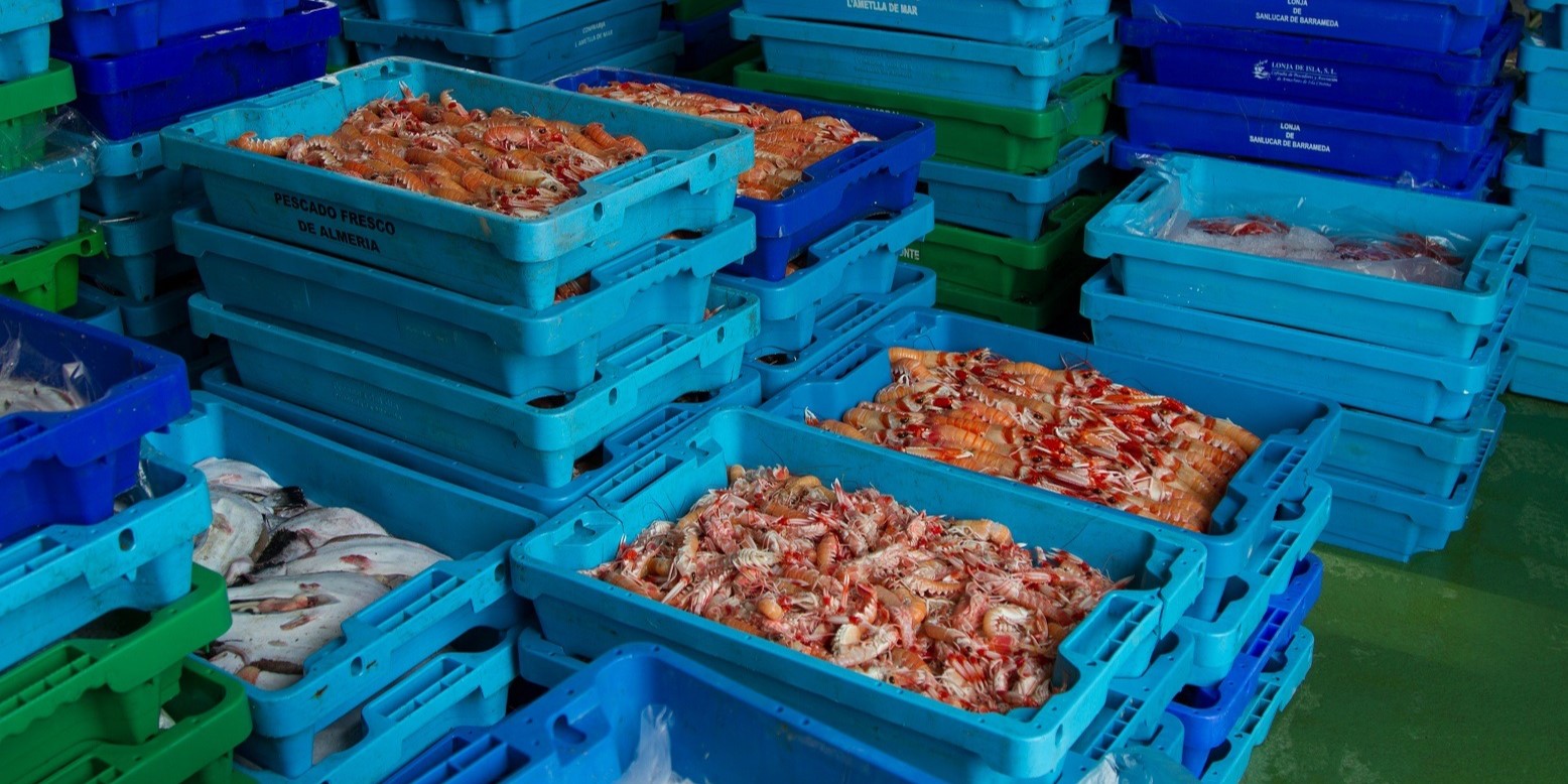 asignacion-de-dias-de-pesca-para-la-flota-de-arrastre-de-fondo-del-mediterraneo-en-2024