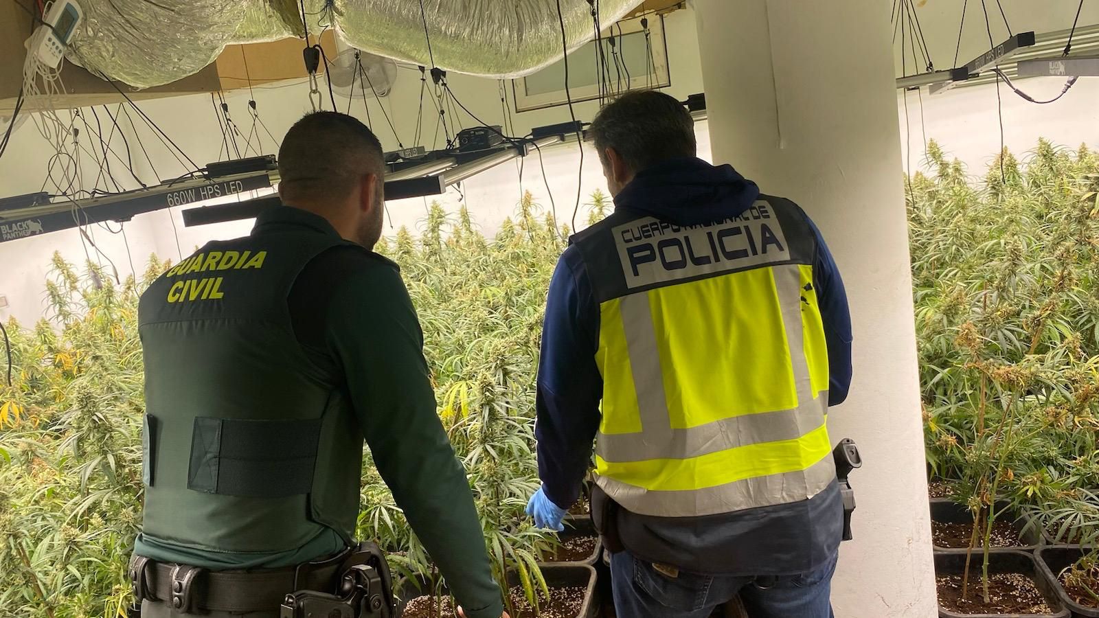 la-guardia-civil-y-la-policia-nacional-desarticulan-dos-centros-de-produccion-de-marihuana-en-ogijares-en-una-operacion-conjunta