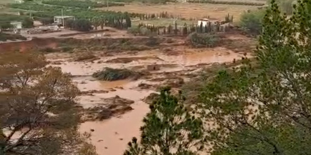 agricultores-y-ganaderos-desolados-por-el-desastre-humano-y-material-causado-por-la-dana