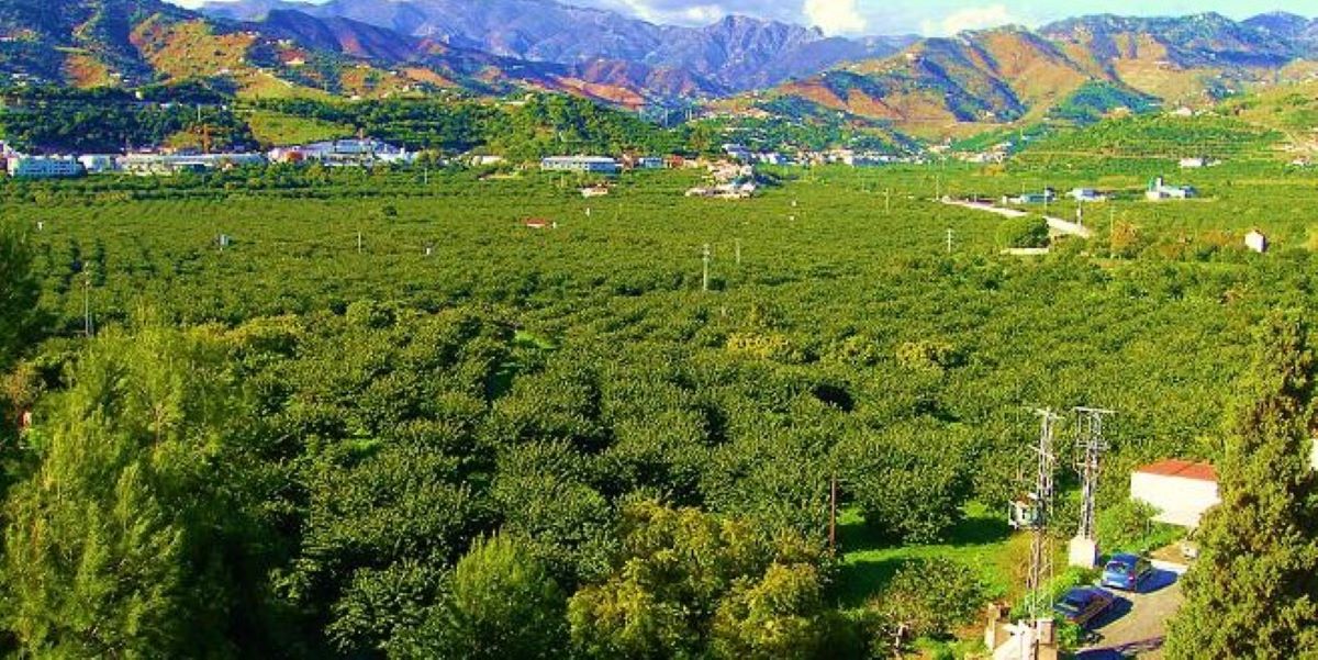 andalucia-fomenta-el-uso-de-agua-regenerada-en-explotaciones-agricolas-a-traves-del-plan-parra