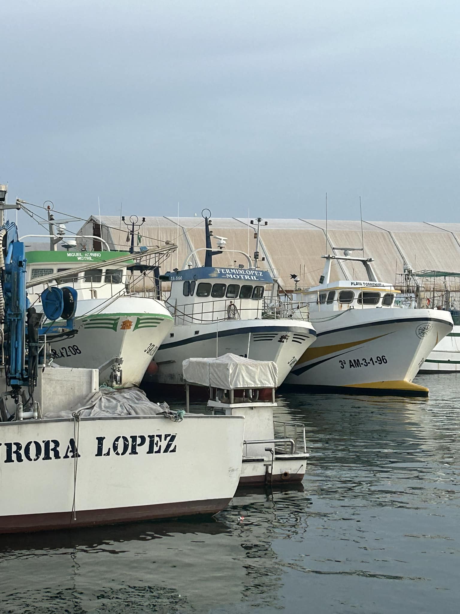 la-lonja-pesquera-de-motril-se-hace-eco-del-momento-complicado-que-atraviesa-ante-la-parada-biologica