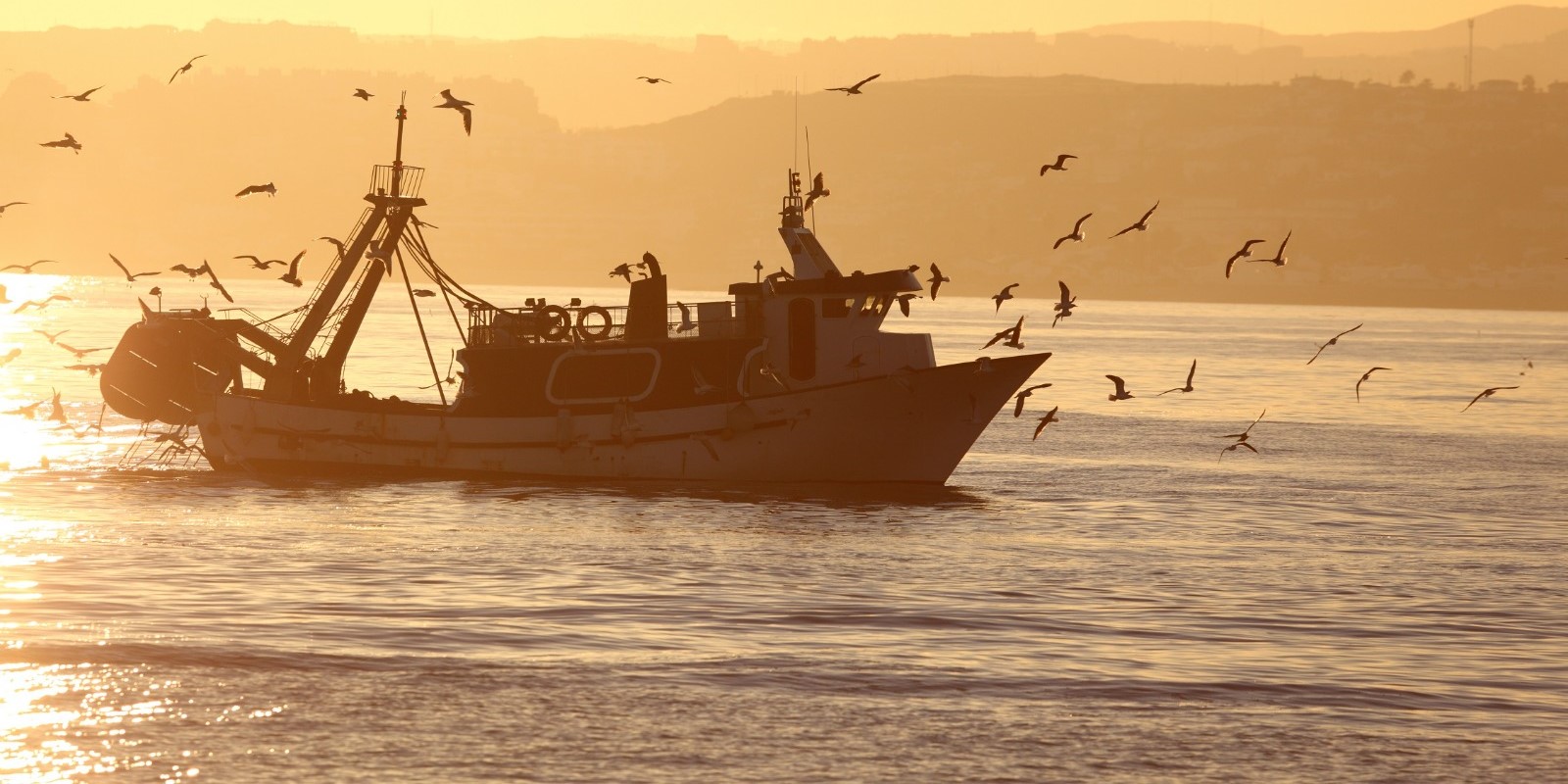 la-cofradia-de-pescadores-de-motril-trops-o-el-proyecto-life-agromitiga-entre-los-galardonados-en-los-premios-agricultura-y-pesca-2024