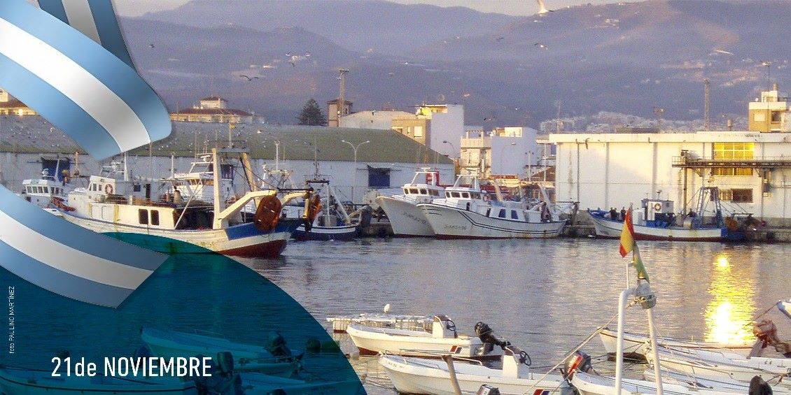 motril-celebra-el-dia-mundial-de-la-pesca-con-una-jornada-muy-especial-desde-la-lonja-pesquera