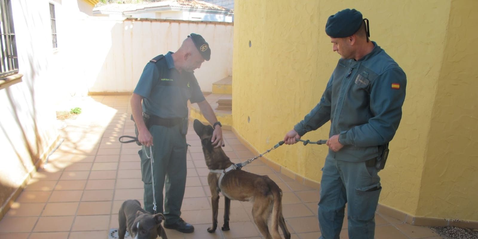 almunecar-la-guardia-civil-investiga-a-un-ocupa-por-el-abandono-de-dos-perros