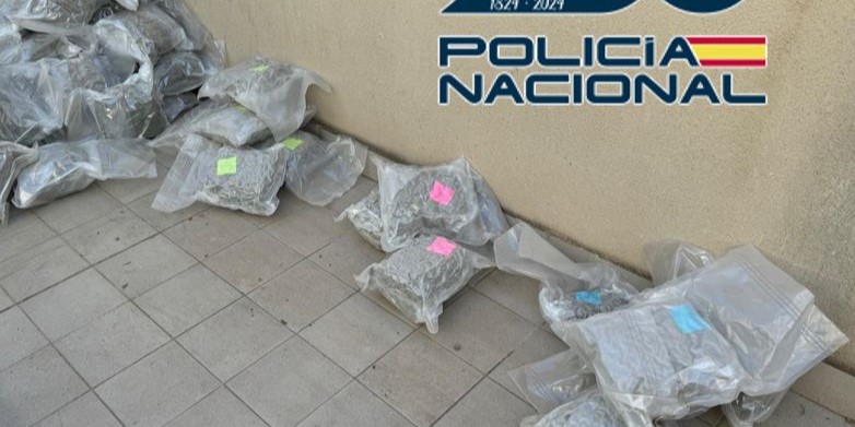 la-policia-nacional-realiza-30-operaciones-antidroga-en-motril-granada-y-baza-en-el-mes-de-octubre-incautando-5-200-plantas-de-marihuana