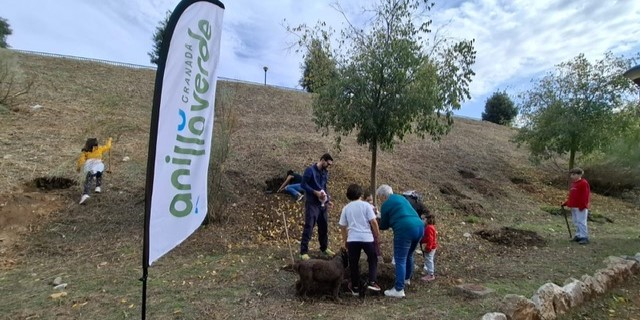 la-ugr-participa-en-el-programa-de-renaturalizacion-de-espacios-urbanos-en-el-que-se-plantaran-600-arboles