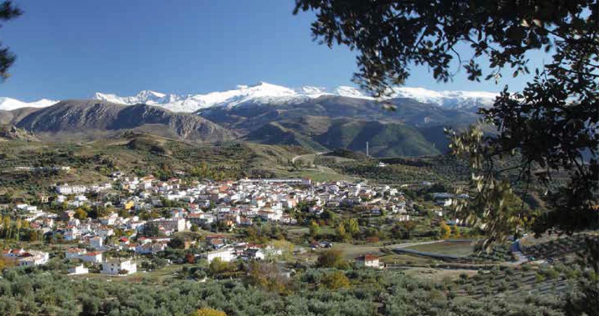 gualchos-castell-de-ferro-jornada-formativa-sobre-ecoturismo-accesible-para-empresas-y-entidades-locales