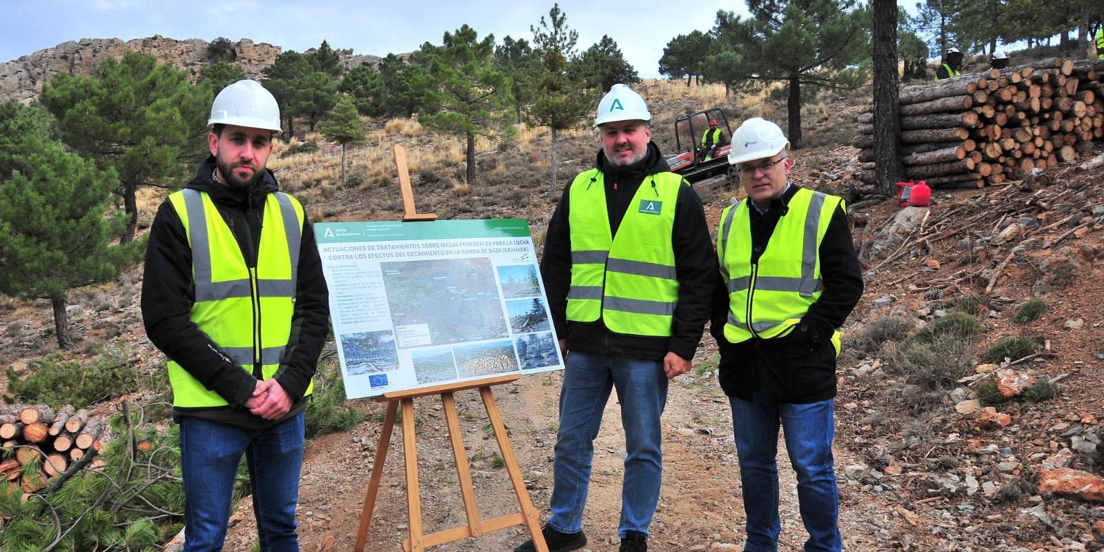 la-junta-de-andalucia-interviene-en-la-recuperacion-de-pinares-en-el-parque-natural-sierra-de-baza