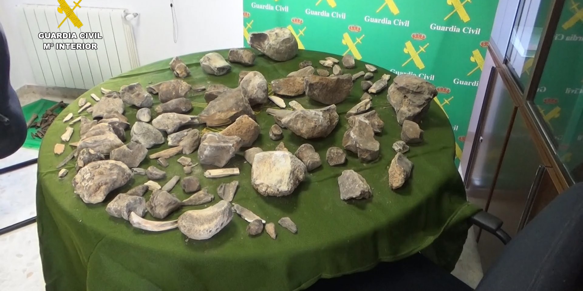 recuperados-mas-de-100-restos-de-mamuts-expoliados-de-un-yacimiento-paleontologico-en-granada