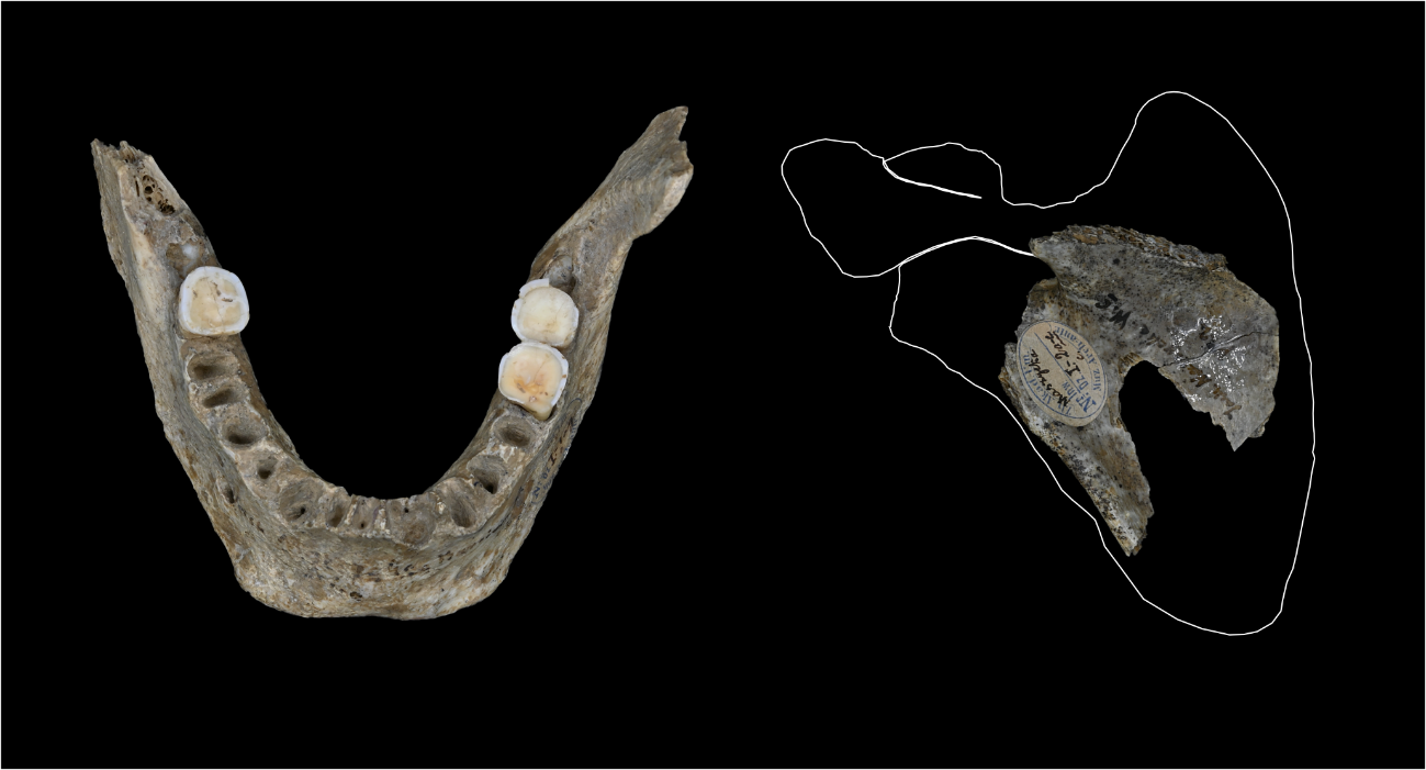 nuevos-hallazgos-indican-que-el-canibalismo-era-una-practica-habitual-hace-18-000-anos