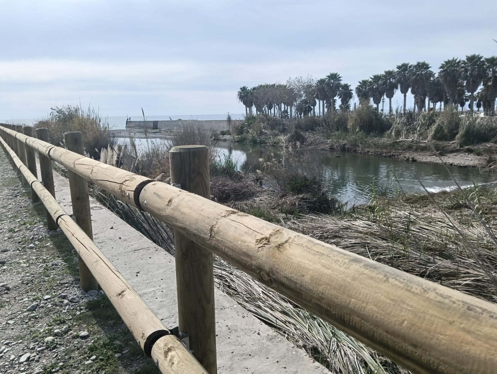 salobrena-refuerza-su-bosque-de-ribera-con-una-jornada-de-reforestacion-en-el-rio-guadalfeo