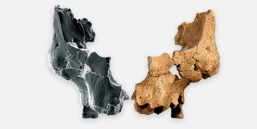 atapuerca-reescribe-la-historia-del-primer-poblamiento-europeo