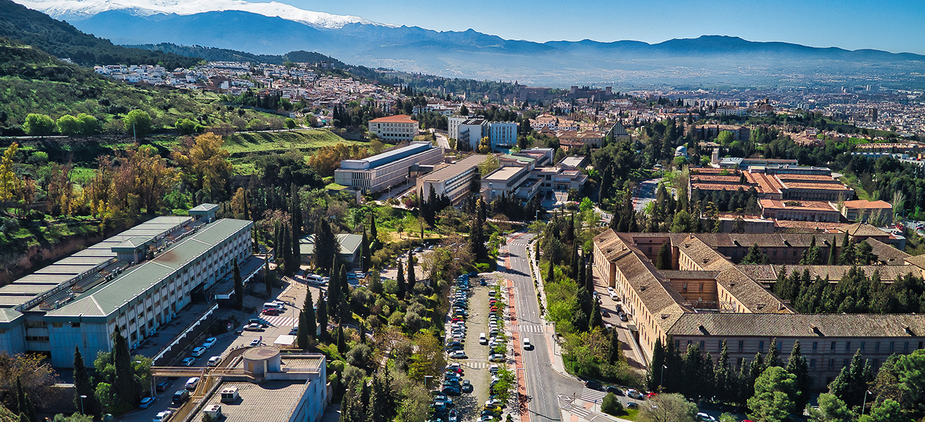 andalucia-revisa-su-programacion-academica-para-incorporar-nuevos-titulos-internacionales-conjuntos-y-reforzar-su-competitividad-global