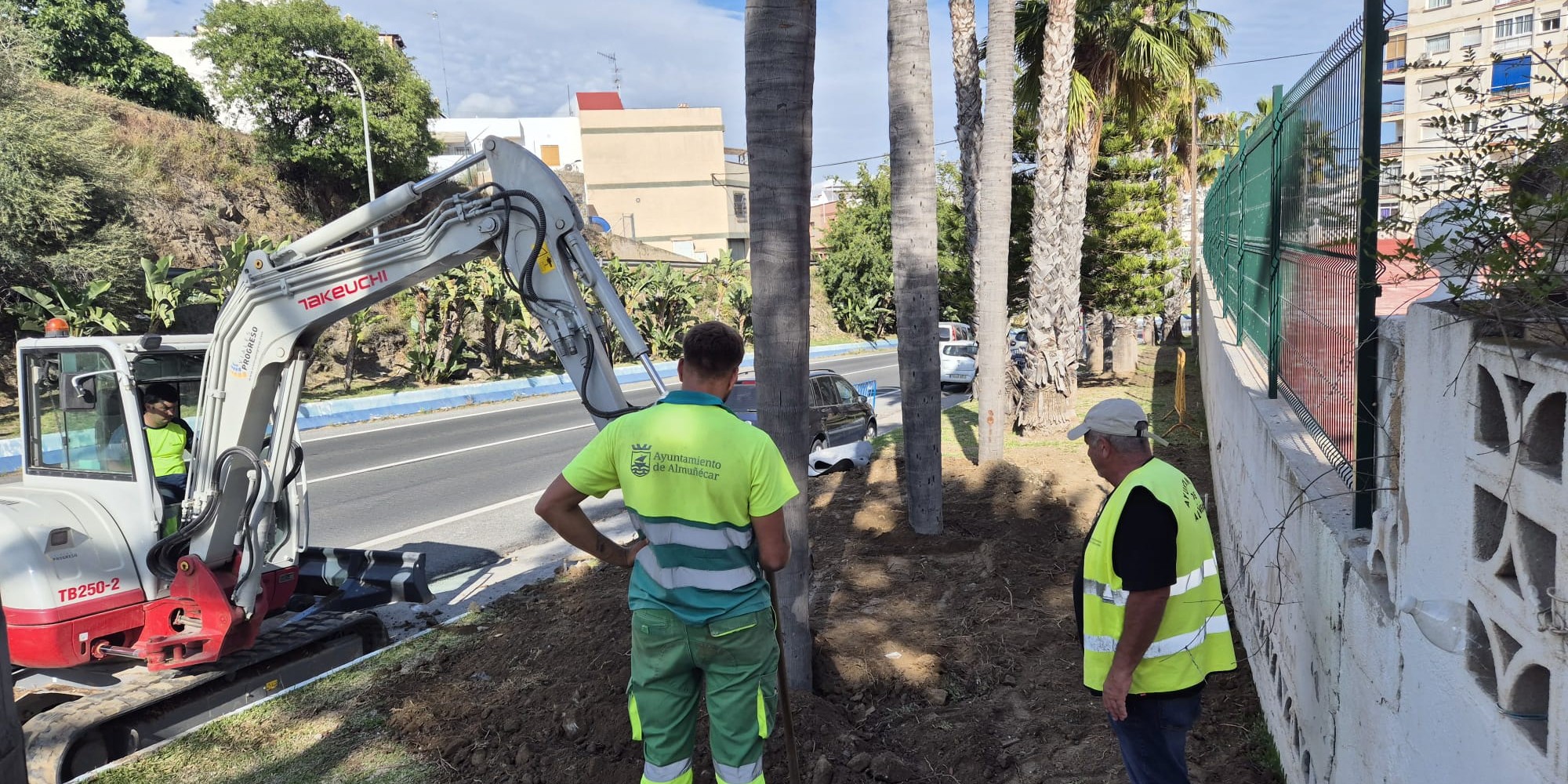 el-ayuntamiento-de-almunecar-traslada-las-palmeras-del-mercado-municipal-a-otras-ubicaciones