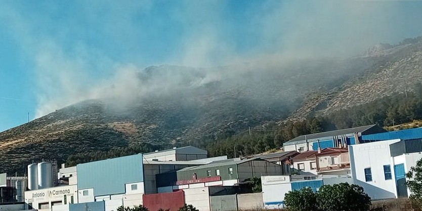 incendio-en-sierra-elvira