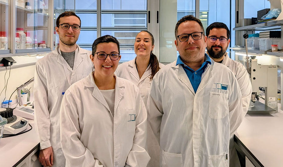 la-mayora-lidera-la-creacion-de-un-bioplastico-alimentario-biodegradable-con-celulosa-y-cera-de-abejas