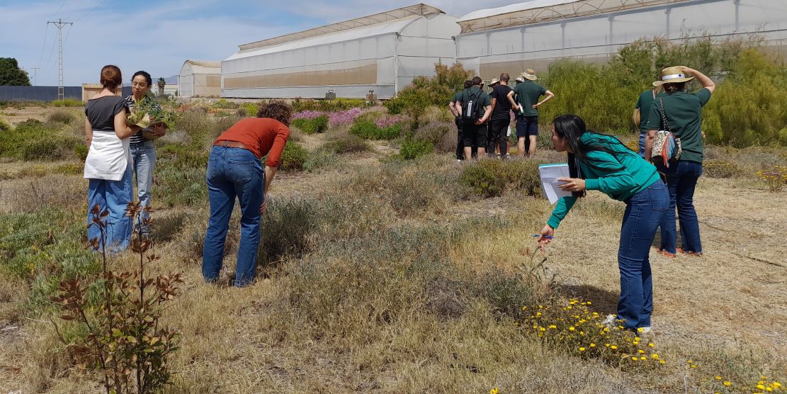 la-junta-publica-una-guia-para-fomentar-la-biodiversidad-y-el-control-de-plagas-en-invernaderos-mediante-el-reciclaje