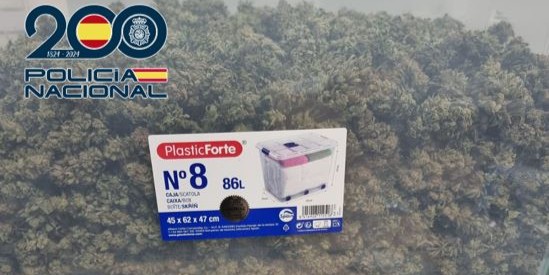 la-policia-nacional-detiene-a-una-persona-que-portaba-una-caja-de-plastico-con-mas-de-5-kilos-de-cogollos-de-marihuana