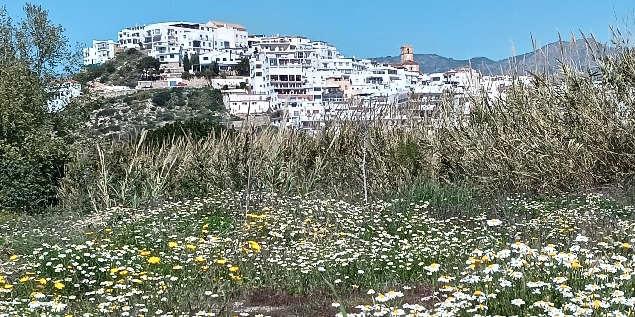 salobrena-amplia-el-servicio-de-recogida-de-residuos-puerta-a-puerta-para-la-hosteleria-de-la-playa-durante-el-verano