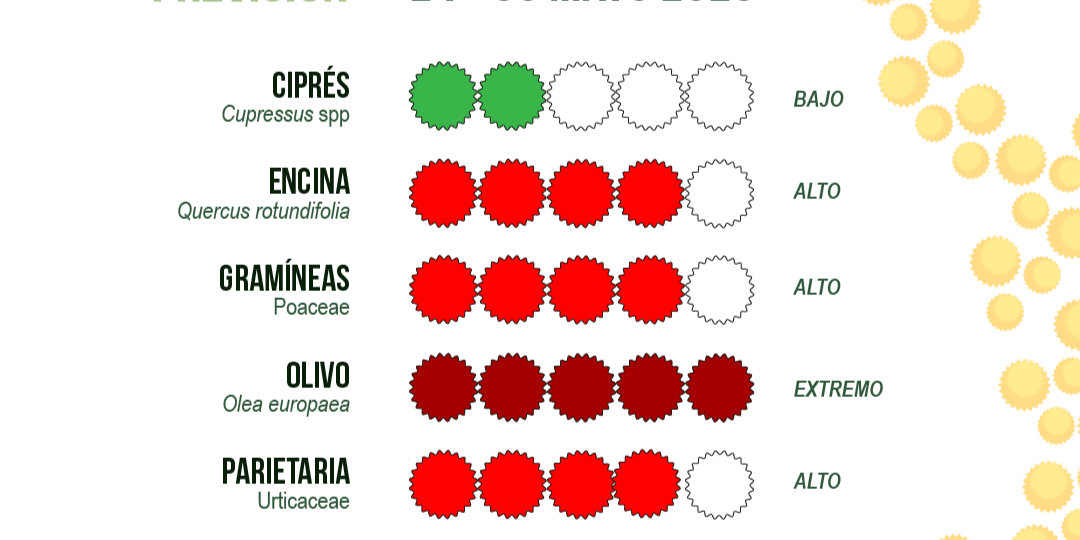 el-riesgo-de-sintomatologia-respiratoria-alergica-a-granos-de-polen-en-la-ciudad-de-granada-es-extremadamente-alto