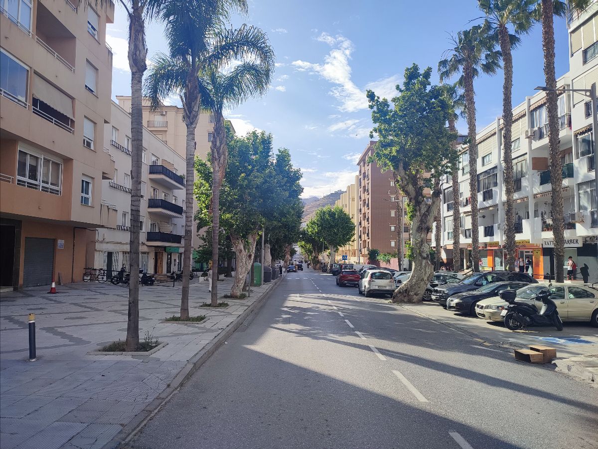 almunecar-iu-pide-preservar-el-arbolado-en-la-remodelacion-de-la-avenida-costa-del-sol