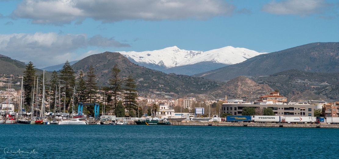 iu-denuncia-que-el-precio-de-la-vivienda-en-motril-ha-subido-un-75-en-una-decada-mientras-solo-se-han-construido-40-vpo-desde-2017