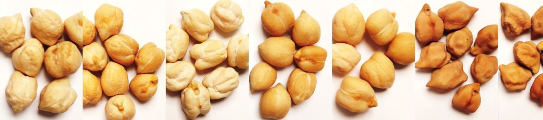 ugr-investigadores-descubren-que-los-garbanzos-tradicionales-del-banco-de-semillas-espanol-son-mas-nutritivos-que-los-comerciales