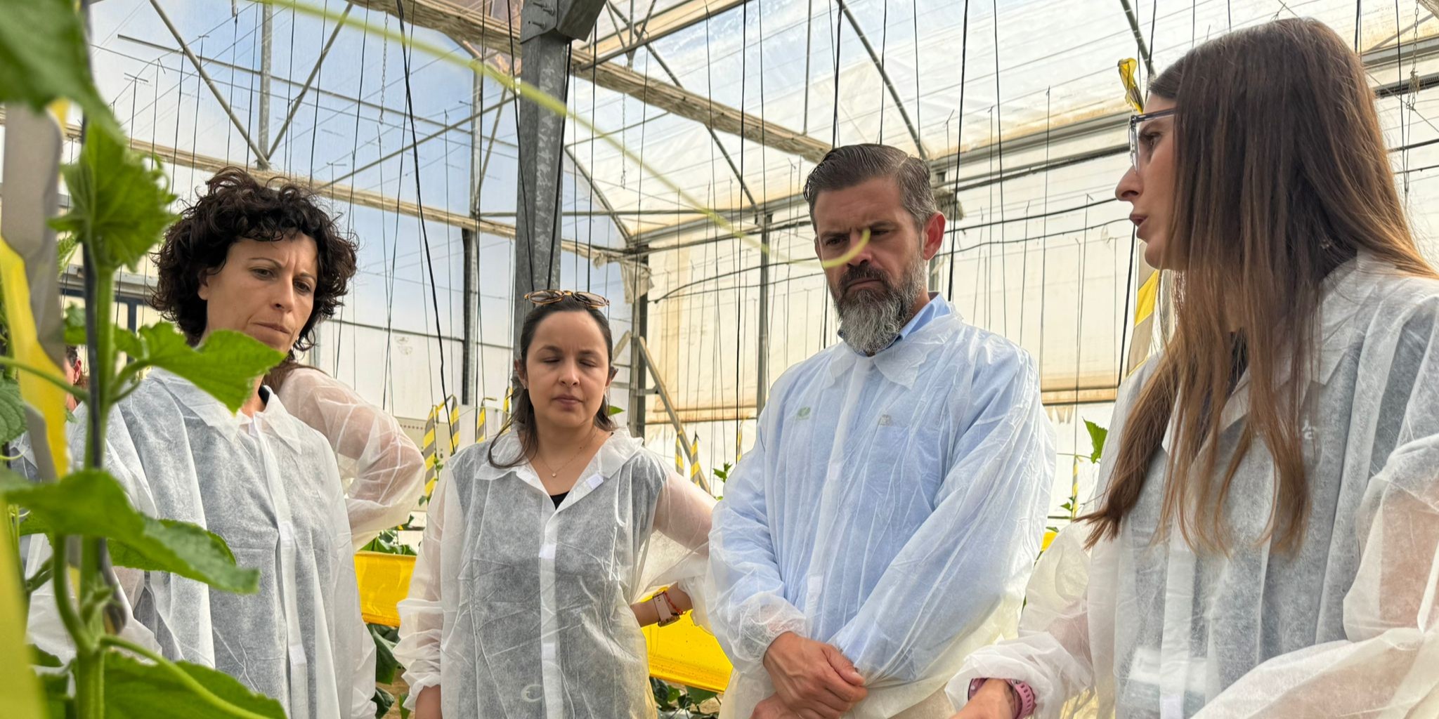 el-proyecto-macroalgae-demuestra-el-potencial-de-las-macroalgas-andaluzas-como-fuente-de-bioinsumos-agricolas-sostenibles