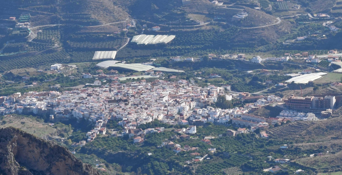la-junta-autoriza-la-exhumacion-de-una-fosa-comun-de-la-guerra-civil-en-el-cementerio-de-molvizar